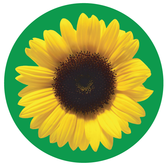 Girasol de Hidden Disabilities Sunflower
